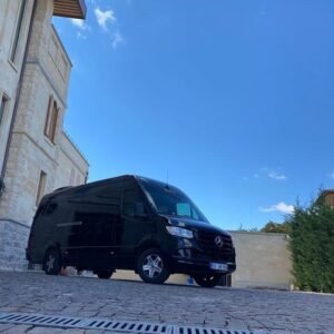 Private Intercity Transfers in Turkiye